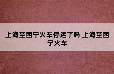 上海至西宁火车停运了吗 上海至西宁火车